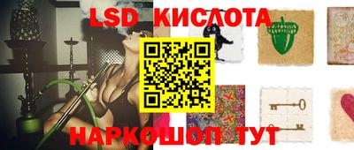 тгк Кингисепп