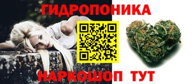 тгк Кингисепп