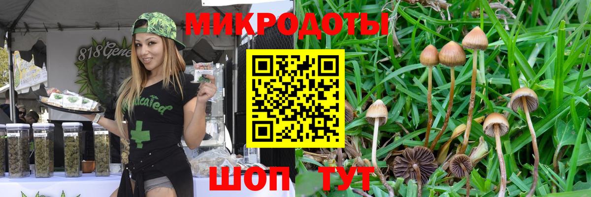 Кропоткин  купить наркоту  Вход с VPN  Галлюциногенные грибы Psilocybe  Галлюциногенные грибы Psilocybe 