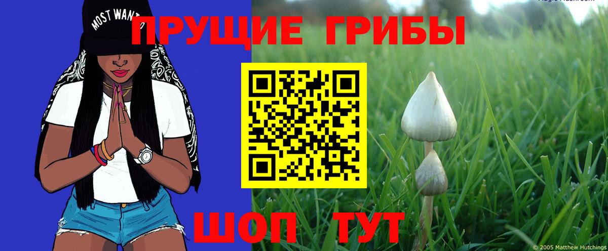 Галлюциногенные грибы прущие грибы Кропоткин