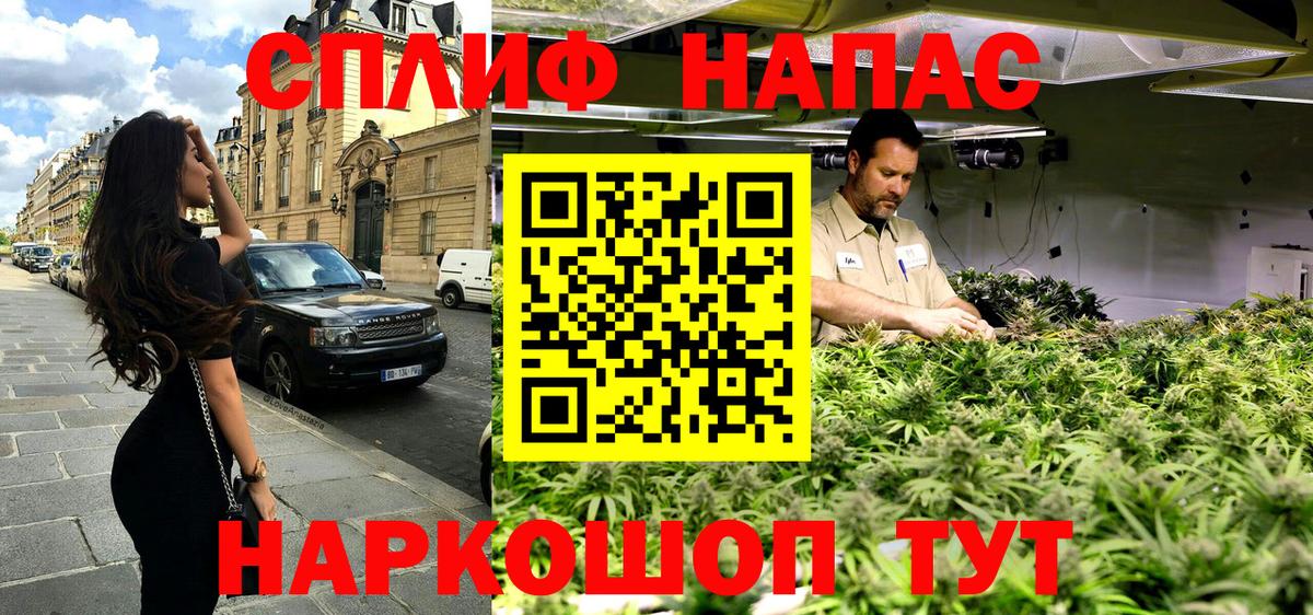 Каннабис OG Kush Кропоткин